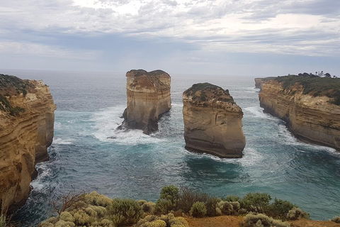 Private Express Experience - 12 Apostles - Accommodation Bookings 5