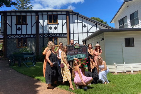 Mt Tamborine ScenicRim Deluxe Wine Tasting And Sightseeeing Tour - Accommodation Bookings 0