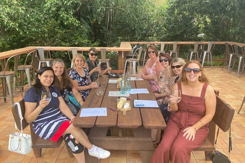 Mt Tamborine ScenicRim Deluxe Wine Tasting And Sightseeeing Tour - Accommodation Bookings 2