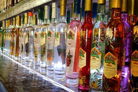 Bar & Brewery Tour - Accommodation Bookings 4