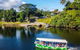 Full Day Tour In The Daintree - thumb 2