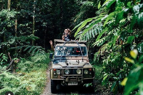 Full Day Tour In The Daintree - Accommodation Bookings 4