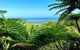 Full Day Tour In The Daintree - thumb 5