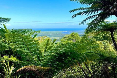 Full Day Tour In The Daintree - Accommodation Bookings 5