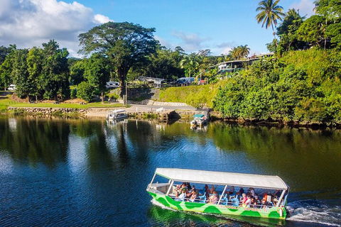 Afternoon Half-Day Daintree Rainforest And River Tour - Accommodation Bookings 1