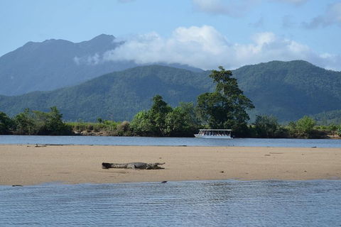 Afternoon Half-Day Daintree Rainforest And River Tour - Accommodation Bookings 2