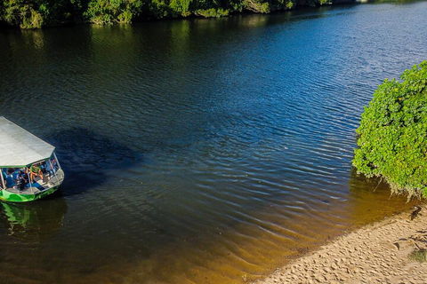 Afternoon Half-Day Daintree Rainforest And River Tour - Accommodation Bookings 3