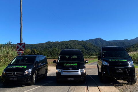 Afternoon Half-Day Daintree Rainforest And River Tour - Accommodation Bookings 4