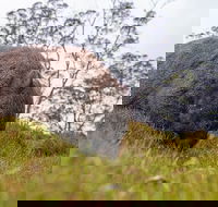 3-Day Cradle Mountain Photography Workshop - Accommodation Bookings