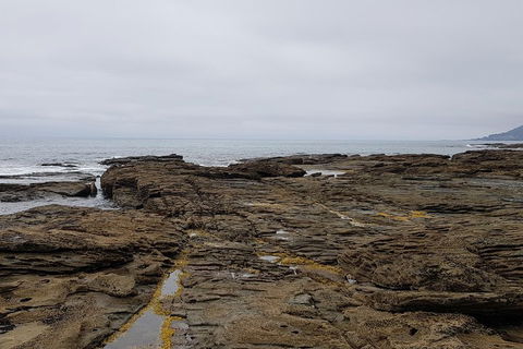 Luxury Private Great Ocean Road Tour Up To 11 People - Entire Vehicle - Accommodation Bookings 1