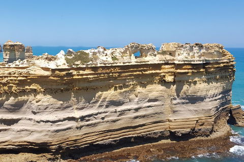 Luxury Private Great Ocean Road Tour Up To 11 People - Entire Vehicle - Accommodation Bookings 4