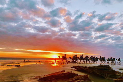 1 Hour Broome Sunset Camel Tour - Accommodation Bookings 0