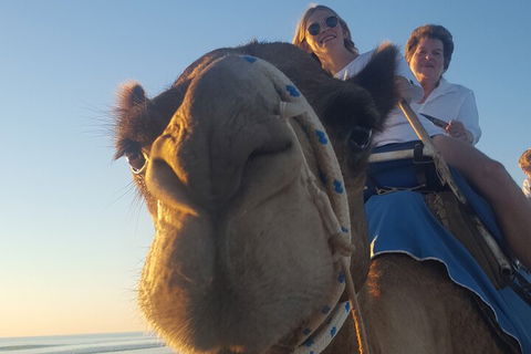 Broome Pre-sunset Camel Tour 30 Minutes - Accommodation Bookings 1