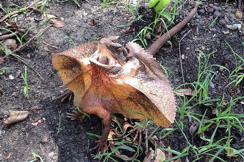 Litchfield National Park And Jumping Crocodile Cruise - Accommodation Bookings 1