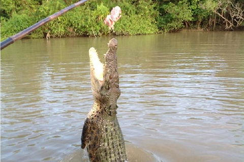 Litchfield National Park And Jumping Crocodile Cruise - Accommodation Bookings 2
