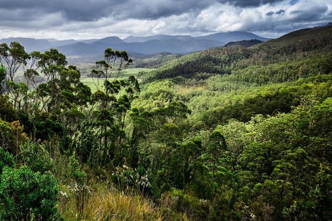 3-Day Tour To The Falls, Mountains, Lake & More Of West Coast Tasmania - Accommodation Bookings 0