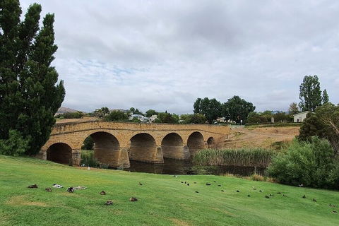 Port Arthur, Richmond And Tasman Peninsula Day Trip From Hobart - Accommodation Bookings 3