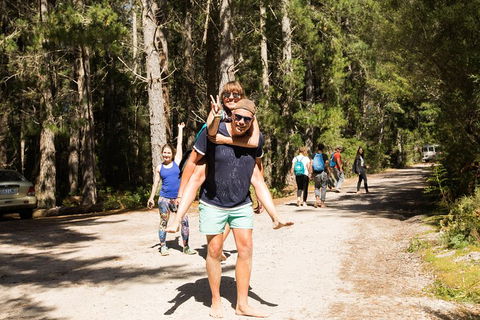 7-Day Best Of Tasmania Adventure Experience From Hobart (flexible Ticket) - Accommodation Bookings 5