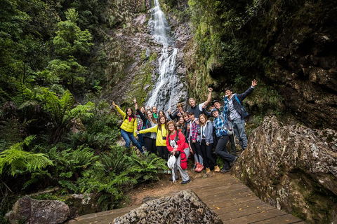 5-Day Lap Of Tasmania Tour From Hobart (flexible Ticket) - Accommodation Bookings 0