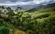 5-Day Lap Of Tasmania Tour From Hobart (flexible Ticket) - thumb 2