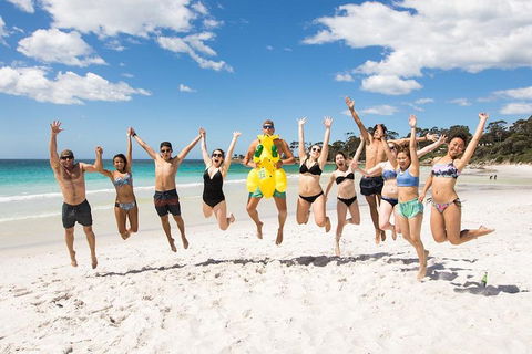 5-Day Lap Of Tasmania Tour From Hobart (flexible Ticket) - Accommodation Bookings 4