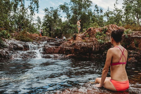 Litchfield National Park Day Tour From Darwin With Waterfalls And Buley Rockhole - Accommodation Bookings 0