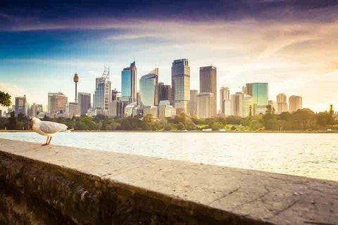 Private Sydney City And Bondi Beach Half Day Tour - Accommodation Bookings 2
