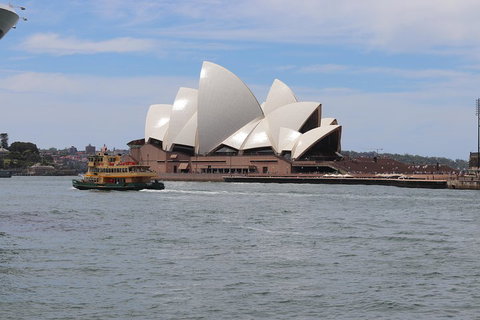 Private Sydney City And Bondi Beach Half Day Tour - Accommodation Bookings 5
