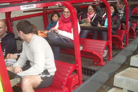 Full-Day Private Blue Mountains Tour With River Cruise - Accommodation Bookings 0