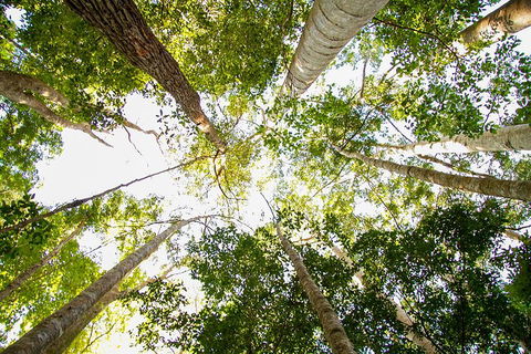 Fraser Island 4WD Tour From Noosa - Accommodation Bookings 0