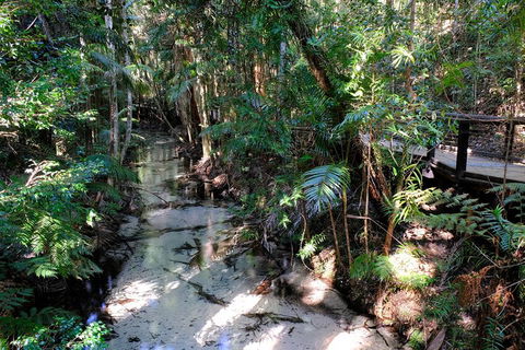 Fraser Island 4WD Tour From Rainbow Beach - Accommodation Bookings 0