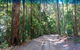 Fraser Island 4WD Tour From Rainbow Beach - thumb 4