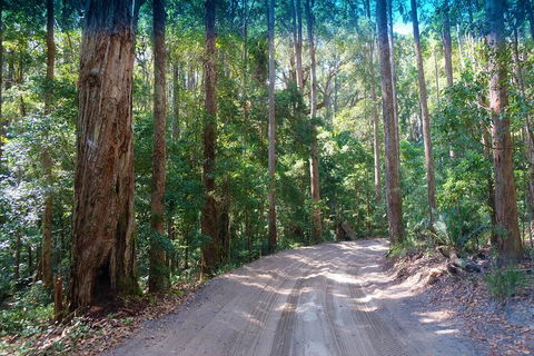 Fraser Island 4WD Tour From Rainbow Beach - Accommodation Bookings 4