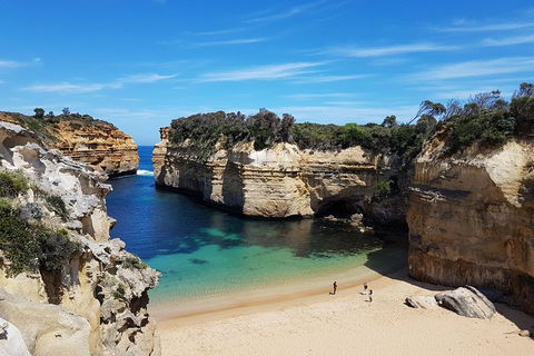 Helicopter Flight + Fine Dining Private Luxury Great Ocean Road Tour - Accommodation Bookings 1