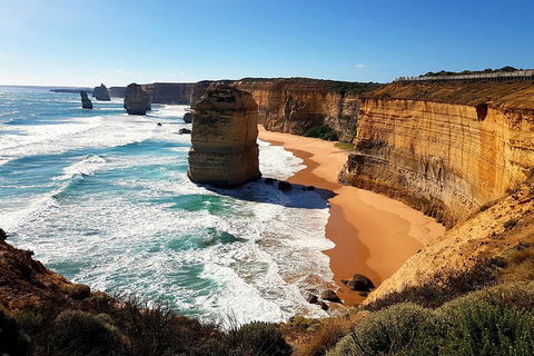 Helicopter Flight + Fine Dining Private Luxury Great Ocean Road Tour - Accommodation Bookings 4