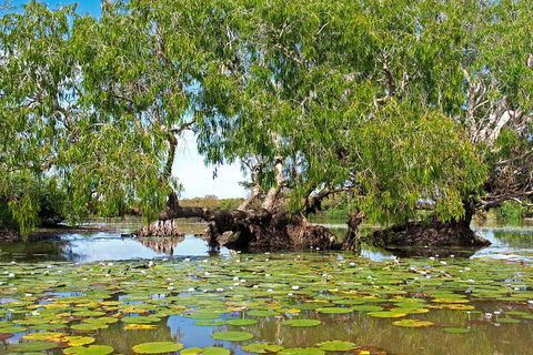 Ethical Adventures - Best In The WET - Litchfield / Kakadu 3 Day- Max 10 Guests - Accommodation Bookings 1