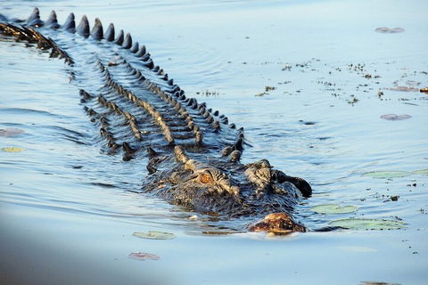 Ethical Adventures - Best In The WET - Litchfield / Kakadu 3 Day- Max 10 Guests - Accommodation Bookings 4