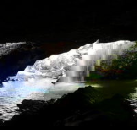 Rainforest  Waterfalls Extravaganza - Accommodation Bookings