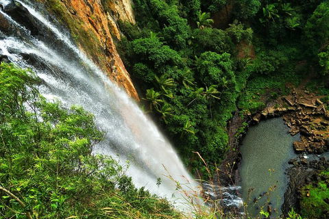 Rainforest & Waterfalls Extravaganza - Accommodation Bookings 1