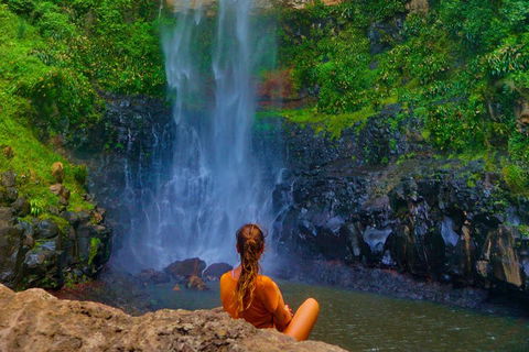 Rainforest & Waterfalls Extravaganza - Accommodation Bookings 2