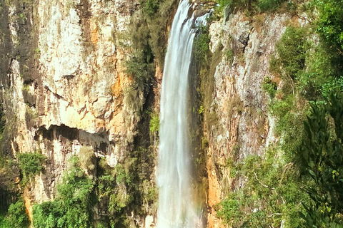 Natural Arch, Rainforest & Volcano Canyon - Private Half Day Tour - Accommodation Bookings 2