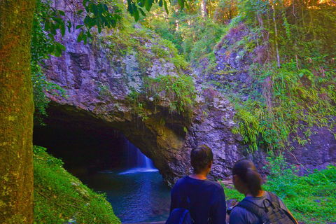Natural Arch, Rainforest & Volcano Canyon - Private Half Day Tour - Accommodation Bookings 4