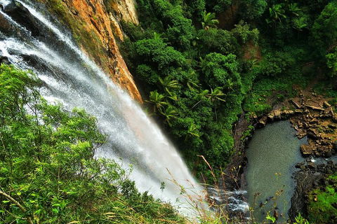 Natural Arch, Rainforest & Volcano Canyon - Private Half Day Tour - Accommodation Bookings 5