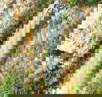 Private Tour - Rainforest  Waterfalls Extravaganza - Accommodation Bookings