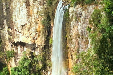 Private Tour - Rainforest & Waterfalls Extravaganza - Accommodation Bookings 0