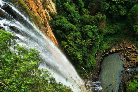 Private Tour - Rainforest & Waterfalls Extravaganza - Accommodation Bookings 2