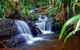 Glow Worms Private Tour - Nocturnal Rainforest Walk - thumb 5