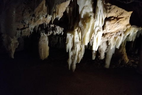 The Pinnacle Adventure Tour - Accommodation Bookings 0