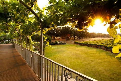Busselton Jetty + Train Ride + Winery + Scenic Drive Full Day Tour - Accommodation Bookings 1
