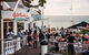 Phillip Island And French Island Wildlife Expedition - thumb 0
